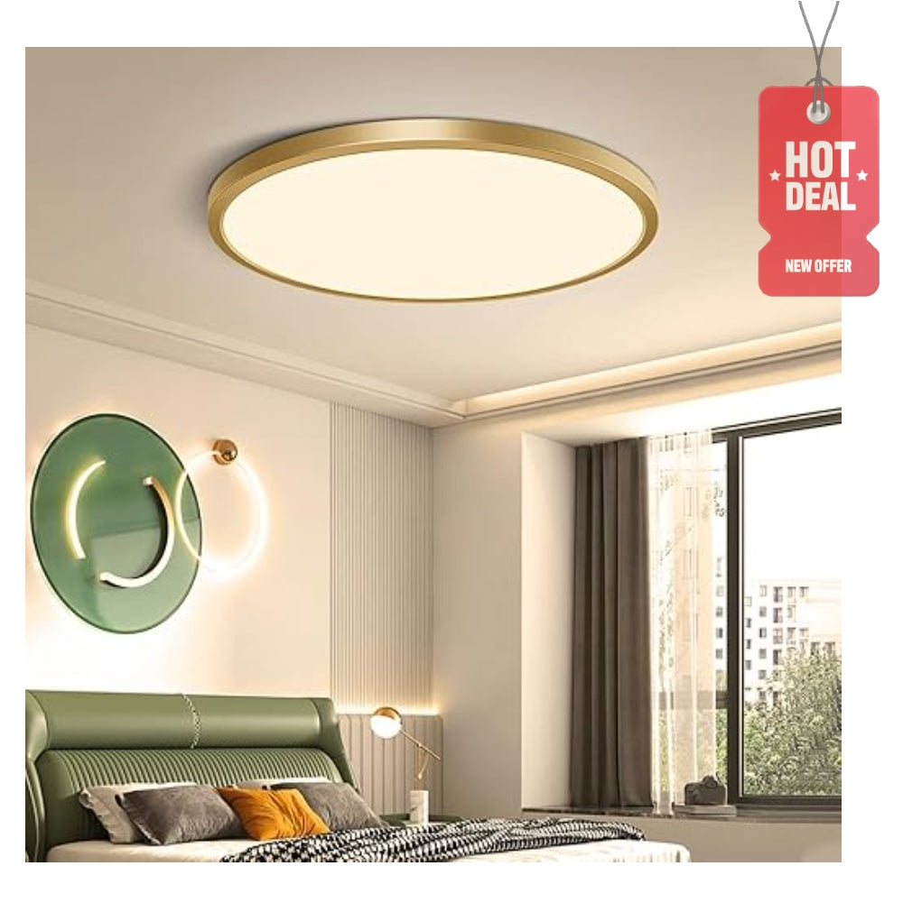 GOLDEN METALLIC RIM ROYAL CEILING LIGHTING INDIA